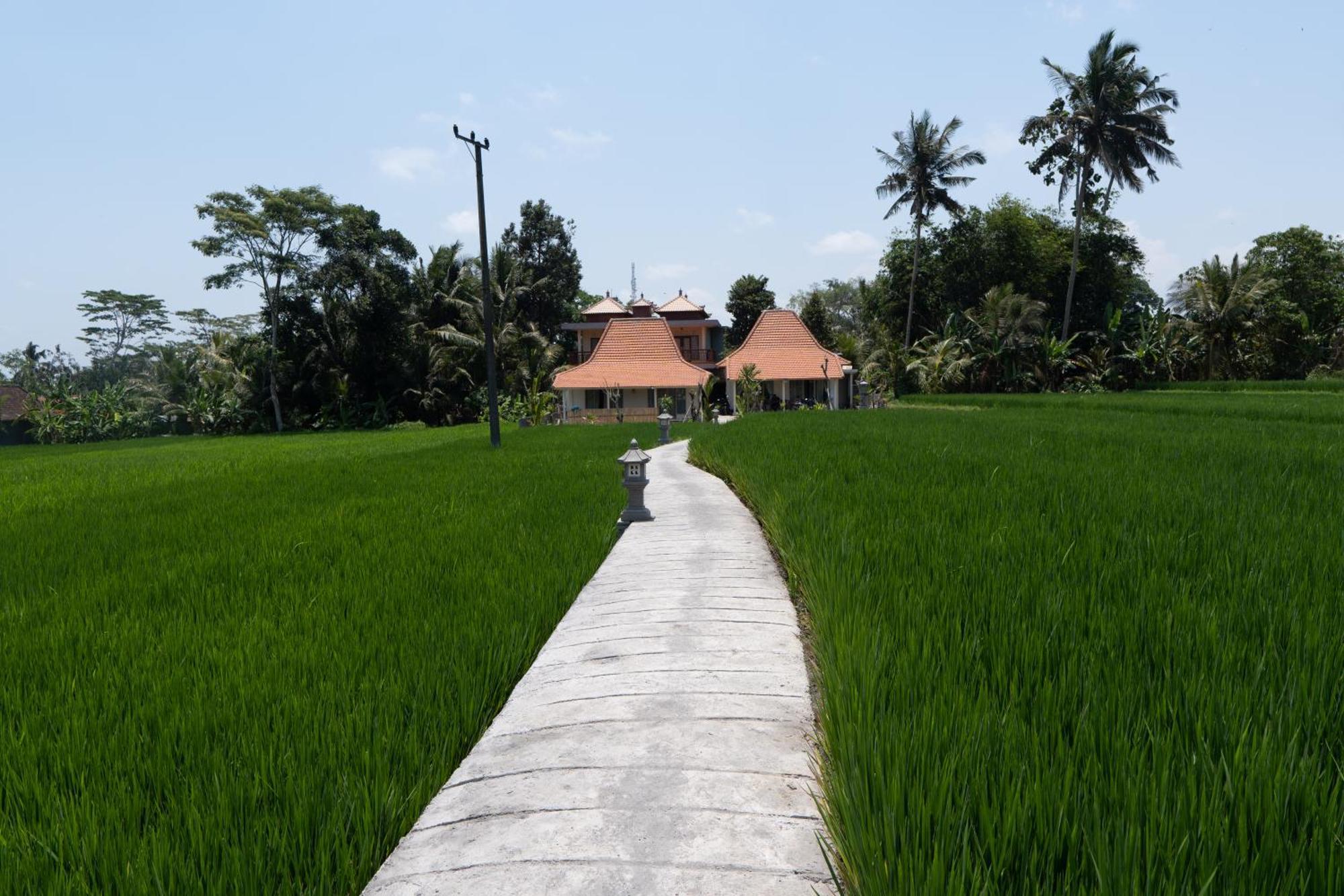 Uma Sri Dewi Villa Ubud Extérieur photo